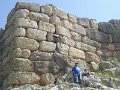 mycenae (223)  